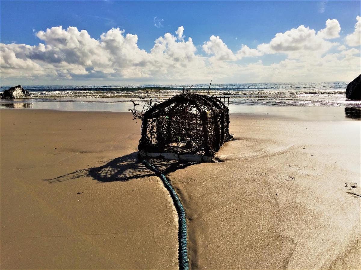 Rosslare Harbour St Awaries Studio, Carne מראה חיצוני תמונה