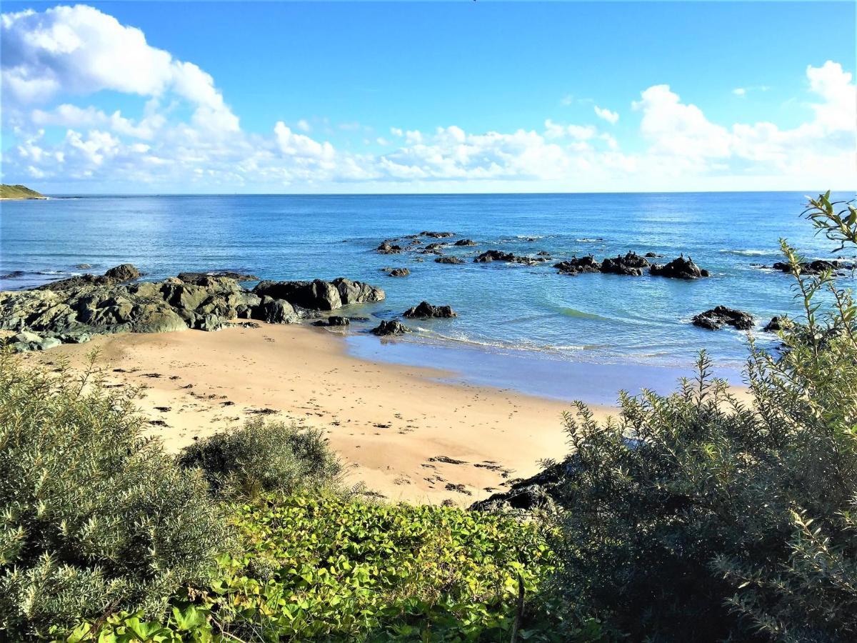 Rosslare Harbour St Awaries Studio, Carne מראה חיצוני תמונה